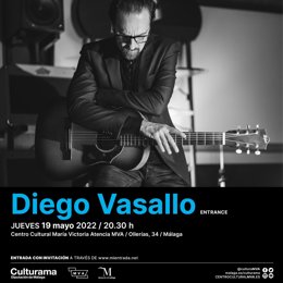 Un concierto de Diego Vasallo en el MVA de la Diputación de Málaga