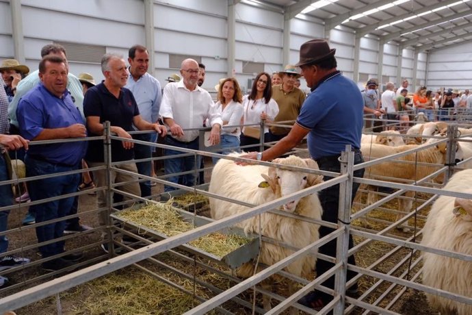 El presidente de Canarias, Ángel Víctor Torres, visita la Feria Agrícola, Ganadera y Pesquera de Fuerteventura, FEAGA 2022,