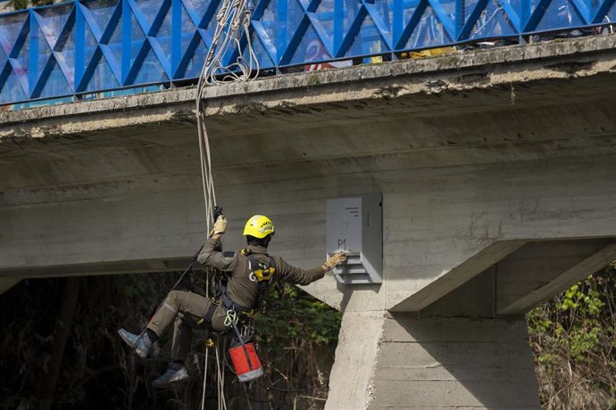 Colocación de cajas nido para murciélagos .