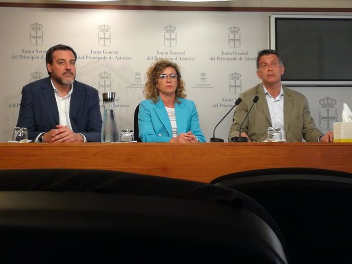 Rueda de prensa del diputado de Ciudadanos en el Congreso, Juan Ignacio López-Bas Valero; la portavoz de Ciudadanos en la Junta General, Susana Fernández, y el diputado autonómico Manuel Cifuentes