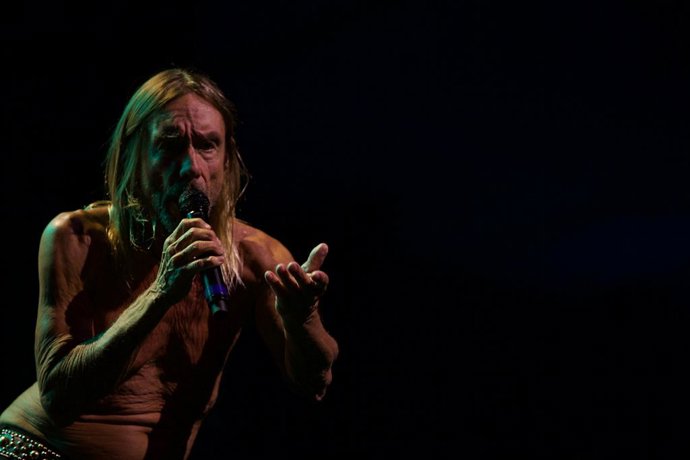 Imatge de l'artista Iggy Pop en un concert