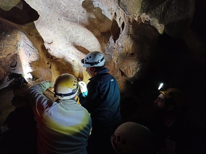 Trabajos para refrendar fechas del Arte Rupestre de la Cueva de la Victoria