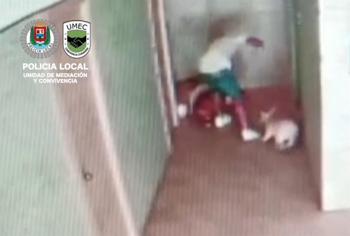 La Policía local denuncia a un hombre por maltrato animal a tres perros en Las Palmas de Gran Canaria