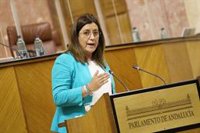 Mar Hormigo abandona el Comité Autonómico de Cs, que cree un partido "necesario" que no "está en las mejores manos"