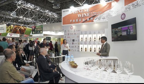 Comunicados Internacional