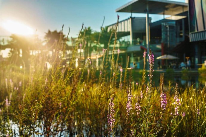 Archivo - Cambio climático.- Zaragoza.- Puerto Venecia, el shopping resort con la mayor puntuación del certificado BREEAM en Aragón