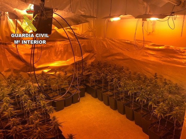 La Guardia Civil investiga a dos personas e interviene una plantación de marihuana en Yepes.