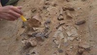 Nuevo iguanodonte excavado en la 'ciudad de los dinosaurios' china
