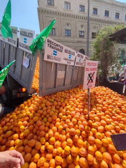 Regantes y agricultores tiran al suelo un remolque de naranjas en Alicante