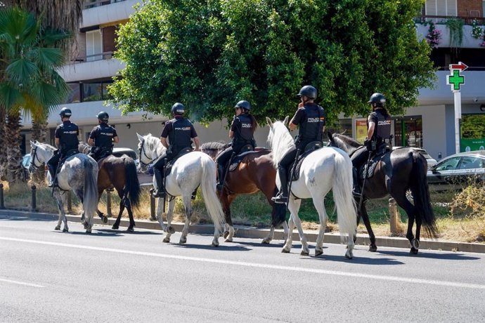 Más de 3.000 agentes de la Policía Nacional se desplegarán en Sevilla por la final de la UEFA.