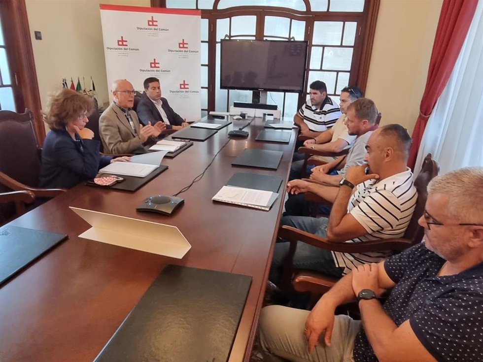 Reunión en la Diputación del Común con representantes de la Asociación Social Volcán 'Cumbre Vieja'