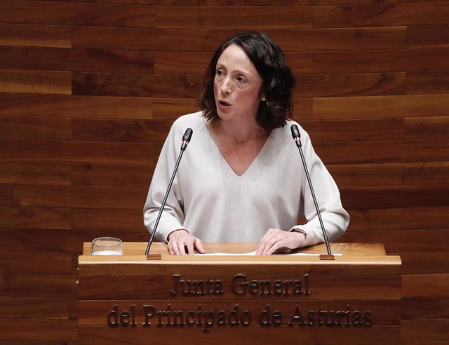 Melania Álvarez interviene en el Pleno de la Junta.
