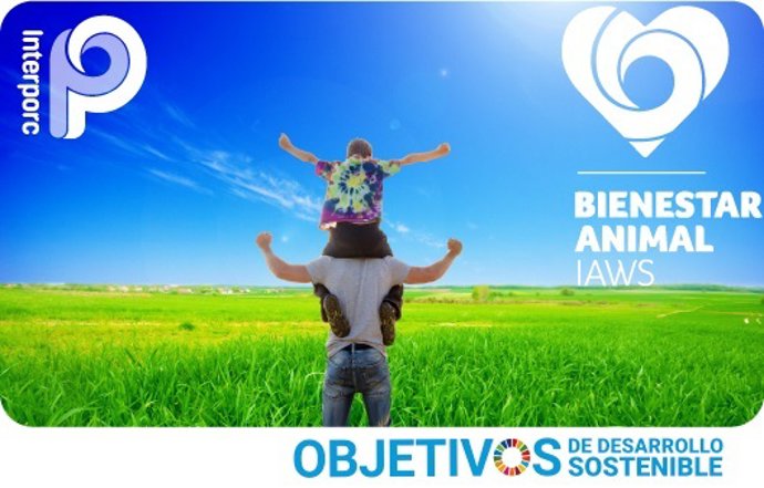 Una campaña mostrará en Murcia los beneficios de la carne de cerdo de capa blanca