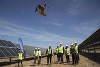 Vara destaca el potencial de Extremadura en energías limpias para la implantación de empresas y la generación de empleo