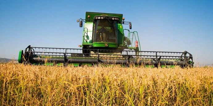 Proyecto 'Arroz Solidario' de Nespresso, que utiliza los posos de café de las cápsulas usadas para elaborar un compost agrario con el que cultivar arroz de alta calidad.