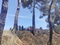 Controlado el incendio provocado en un pinar de Arroyomolinos
