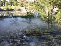 Los Bomberos de Logroño apagan varios incendios de pelusas de chopo en el entorno del río Ebro