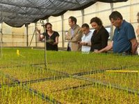 El PSC pide a Junts reformar la Política Lingüística y cree que trata de "debilitar" al Govern