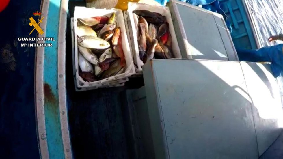 Pesca furtiva, incautada por Guardia Civil en Lanzarote