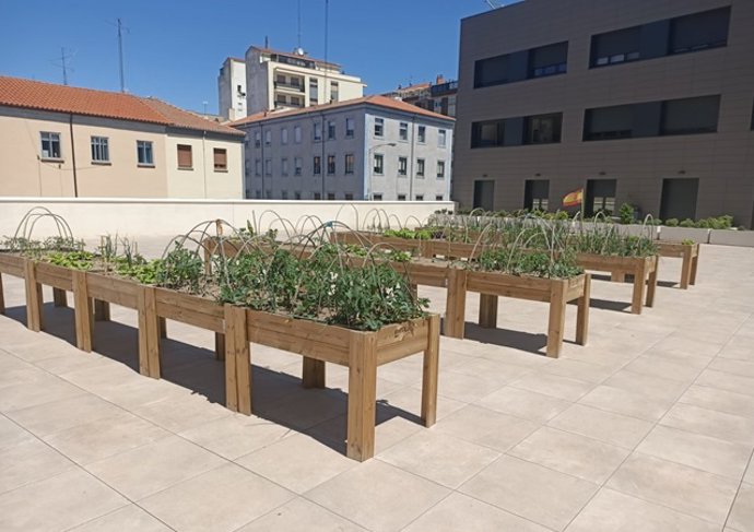 Mesas de cultivo en el edificio 'Victoria Adrados' de Salamanca.