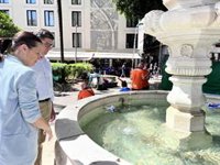 Cs Sevilla critica la "pasividad" del Ayuntamiento para "controlar" "conductas incívicas" de las aficiones de la UEFA