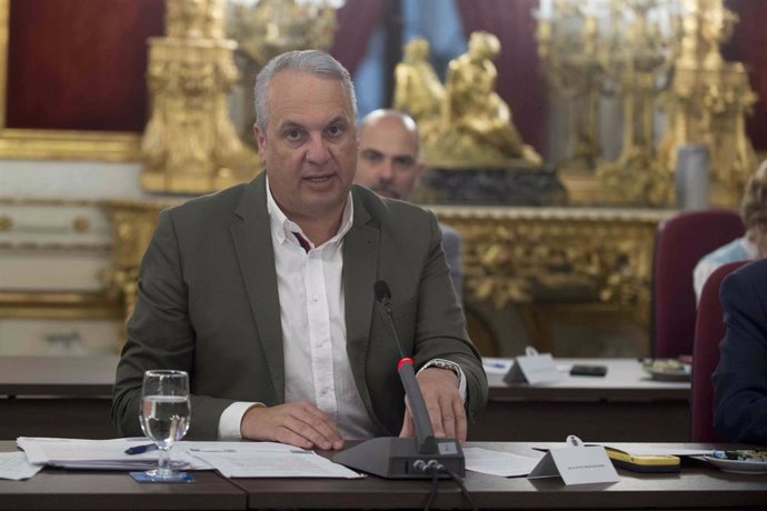 Ruiz Boix en el Pleno de Diputación de este miércoles.