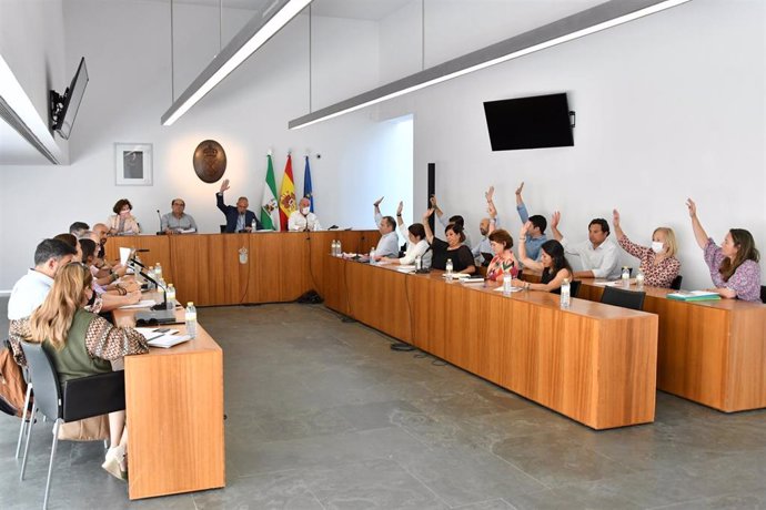 Pleno del Ayuntamiento de Tomares, en sesión ordinaria.