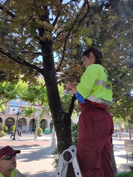 Logroño comienza la campaña de control de plagas con métodos naturales en los parques y jardines de la ciudad