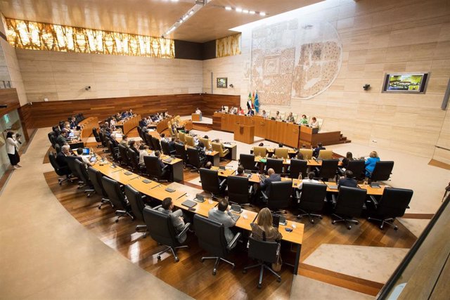 Pleno de la Asamblea