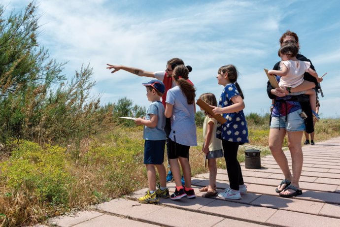 Archivo - Actividad de recuento de especies en la playa de Gav-