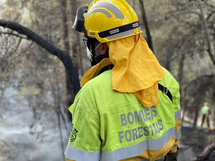 Servicio de Bomberos y Bomberas Forestales de la Generalitat