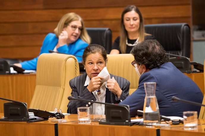 La vicepresidenta primera y consejera de Hacienda y Administración Pública de la Junta, Pilar Blanco-Morales, en el pleno de la Asamblea