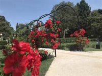 Abierta al público la única rosaleda del mundo clasificada por colores y con más de 80 variedades