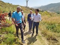 Granada se convierte en "la primera ciudad de Andalucía con un sumidero de dióxido de carbono"