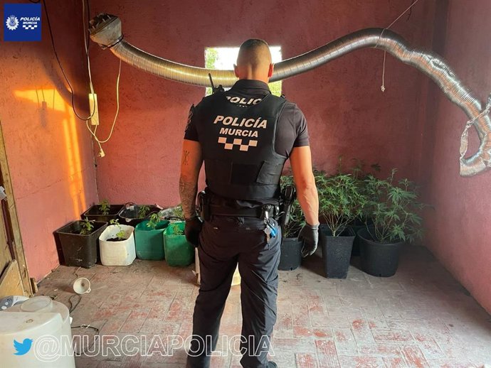 Imagen de un agente con las plantas intervenidas