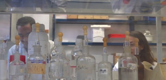 Crean un método más económico para obtener fragancias comerciales