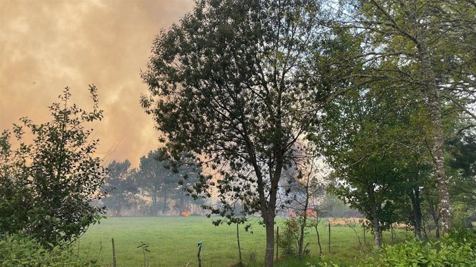 Incendio en la parroquia de Gaibor del municipio de Begonte (Lugo)