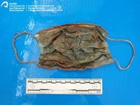 Investigadores del IUSA encuentran una mascarilla y numerosos plásticos en el interior de un delfín varado en Tenerife