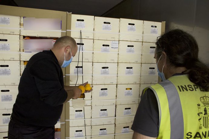 Archivo - Un técnico comprueba la temperatura de un par de naranjas para asegurarse del cumplimiento del tratamiento de frío de una partida de naranjas españolas con destino a India.