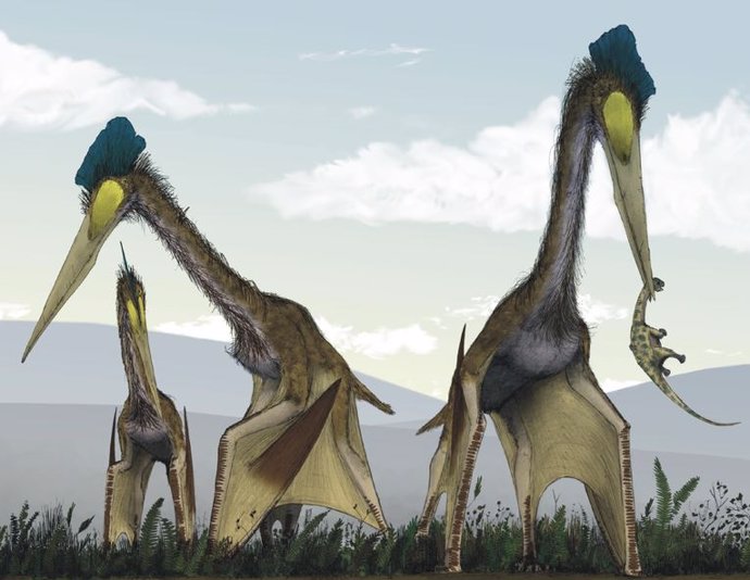 Restauración de la vida de un grupo de azdárquidos gigantes, Quetzalcoatlus northropi, forrajeando en una pradera de helechos del Cretácico