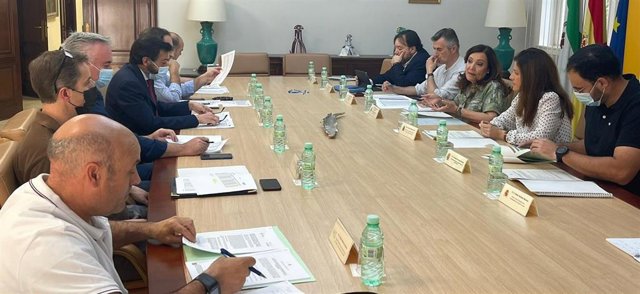 Reunión de la comisión de seguimiento del PFEA.