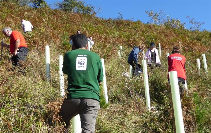 Archivo - Voluntarios de Eroski y WWF plantan árboles en Elgoibar