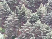 Evacuada en helicóptero una mujer de 63 años tras romperse la pierna en la ruta del Chorro Grande (Segovia)