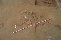 Descubren en Sevilla restos óseos de un joven del periodo almohade en las catas previas a una obra en la calle Lumbreras