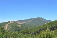 La Junta destina 5 millones a trabajos para prevenir incendios y mejorar infraestructuras en montes públicos extremeños