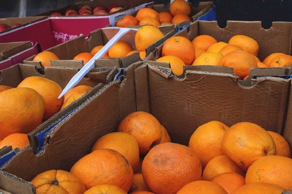 Archivo - Cajas de naranjas