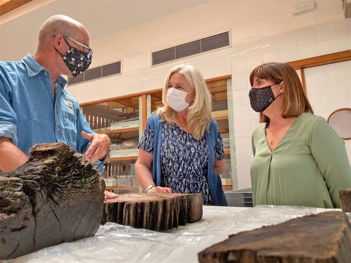 Curso de Dendroarqueología en el Centro de Arqueología Subacuática de Cádiz