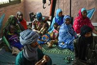 El NRC habla de "una plaga de sufrimiento humano sin precedentes" tras superarse los cien millones de desplazados