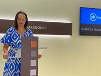 Susín (PP) exige al Gobierno de Aragón que aporte a la Cámara de Cuentas documentación de contratos con proveedores