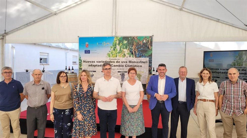 El consejero Antonio Luengo durante la presentación de cuatro nuevas variedades de uva Monastrell adaptadas a los efectos del cambio climático.
